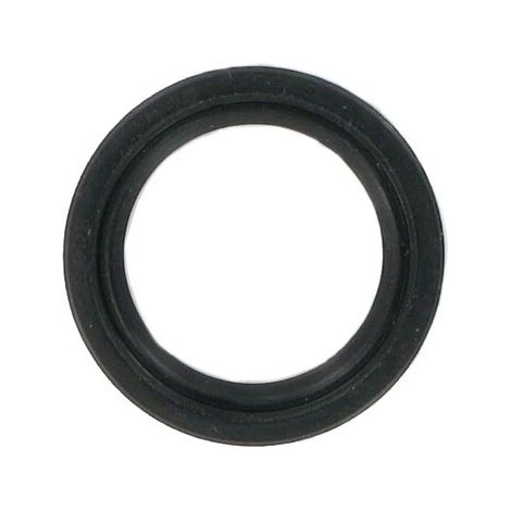 Guarnizione anello MTD 721-0338 - 7210338