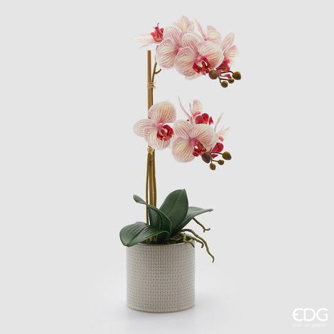 EDG Enzo De Gasperi Orchidea Phalaenopsis x2 con Foglie e Vaso H 51 Cm Pianta Artificiale Bianco Rosa