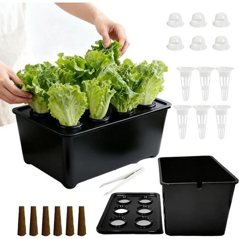 Système hydroponique pour plantes - Kit de culture d'intérieur - Culture toute l'année - Solution sans terre - 12,8 x 16,2 x 12,8 cm - Noir (1/5)