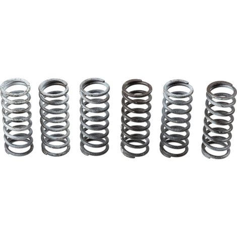Molle frizione TRW ZF per Suzuki DL 650 04-16, Gladius 650 09-16, SV 650 03-10/16-, (EBS133)