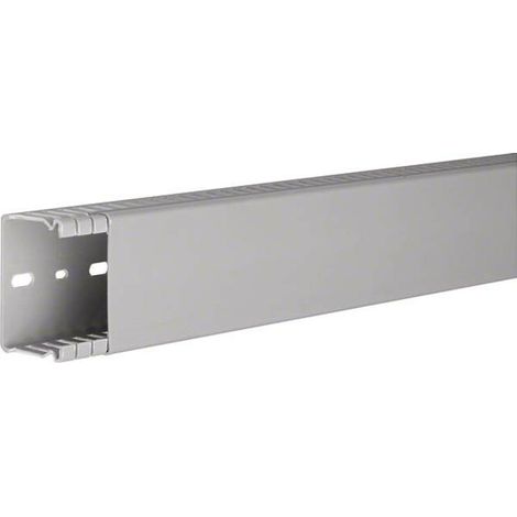 Tehalit Verdrahtungskanal BA6 40060B gr 2 Stk