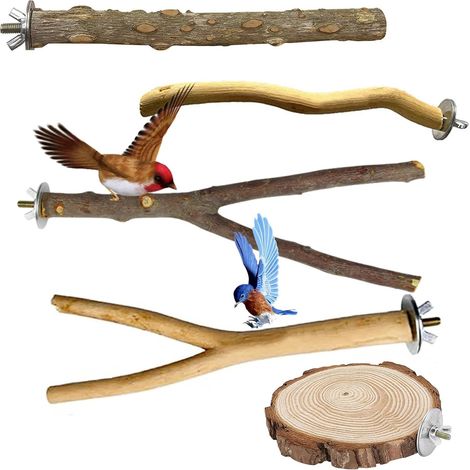Lot de 5 perchoirs pour oiseaux, support en bois naturel pour perroquets, jouets pour oiseaux, perchoir pour perruches, support de cage à plusieurs branches pour perruches. (1/5)