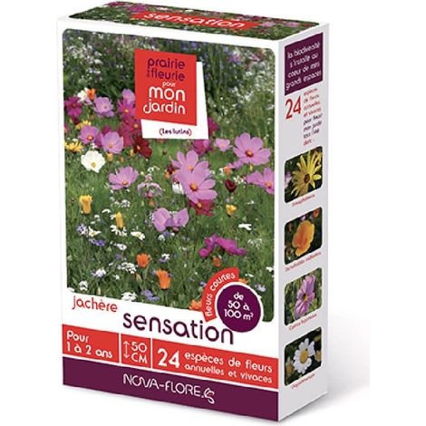 Mélange de fleurs sensation 50 à 100 m² – Exposition soleil/mi-ombre – Semis au printemps – Couleurs blanc, jaune, rose – Achat Nature (1/2)