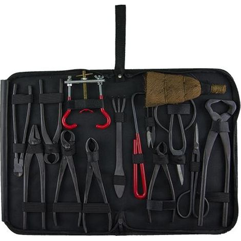 Set hobbistico da 14 attrezzi per bonsai bruniti + astuccio porta utensili rigido (D21LG)