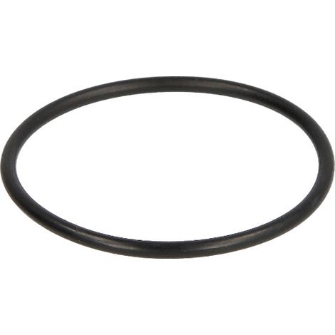 Watts – Joint torique 2,5 mm pour filtre fioul – Épaisseur 2,5 mm – Type RV OR – Pour filtres RV 2, RZ, RV 1, V1