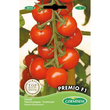 graines Tomate grappes PREMIO F1