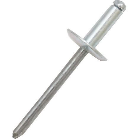 Rivet Aluminium Gris longueur 20mm diamètre 4.8mm ( Prix pour Sachet de 50 )