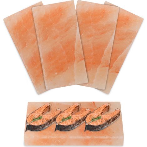 SWANEW Piatto di sale per pesce alla griglia in pietra salata 20x10x2.5 cm Griglia per barbecue 4X (1/5)