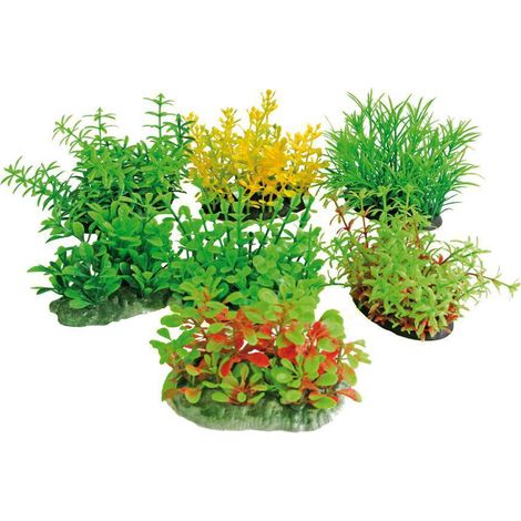 Set 7 pezzi Tropical Plant 8 cm Series colori e forme assortite