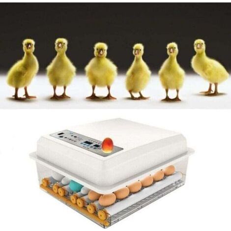 Incubateur Oeufs Couveuse A Oeuf Automatique Pour Volaille, Caille, Oie Canard, Pigeon, Reptile - 16 Oeufs, (1/5)