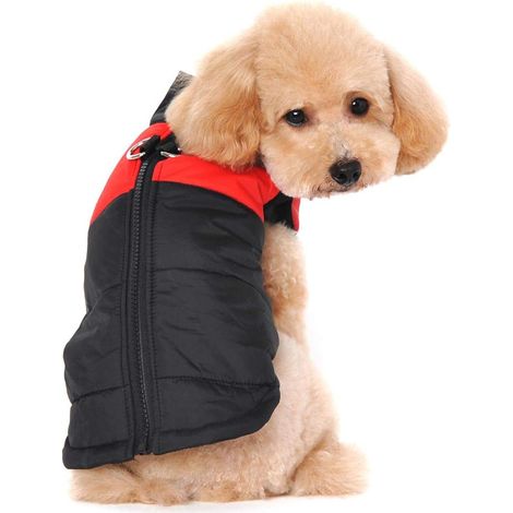Manteau imperméable pour petit chien, veste d'hiver rembourrée en duvet pour chiens et chiots, tailles et couleurs assorties (1/5)