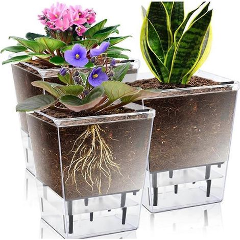 Ensemble de 3 pots à arrosage automatique de 12,7 cm (5 pouces) (1/5)