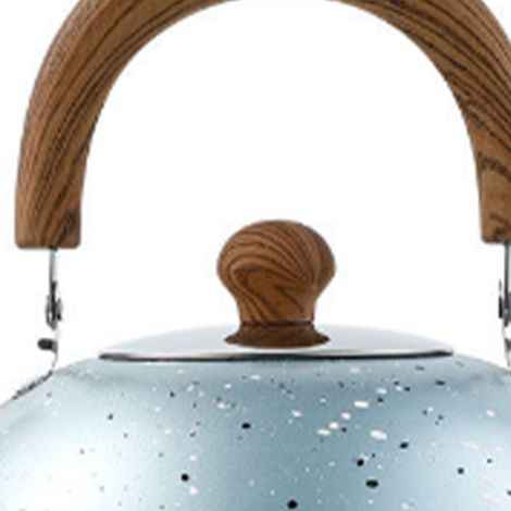 Bouilloire à fond plat en acier inoxydable, non magnétique, bouilloire à sifflet en acier inoxydable, grande capacité, convient aux plaques à induction, aux cuisinières à gaz et au gaz charbon, 2 L, b (1/5)