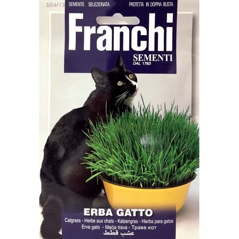 SEMI ERBA GATTO 54/13