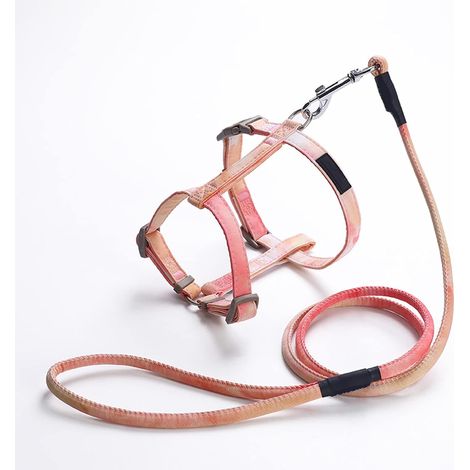 Harnais Léger Anti-Évasion pour Chat – Laisse en Nylon Respirant, Facile à Contrôler pour Promenade et Voyage (Rose, Taille S) (1/5)