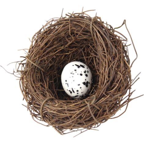 Nid D Oiseau En Rotin Synthétique - Kit De Décoration De Pâques - Pour Table Jardin Et Fête - 1 Nid + 1 À 5 Œufs Faux (1/5)