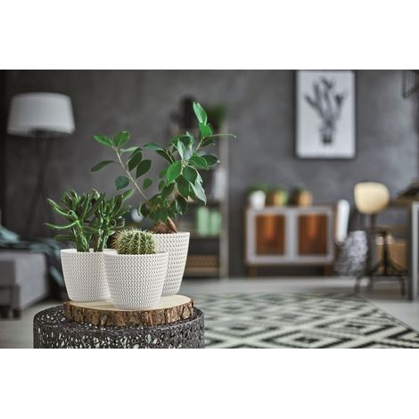 Splofy DSP160 Blumentopf Grauer Stein Prosperplast