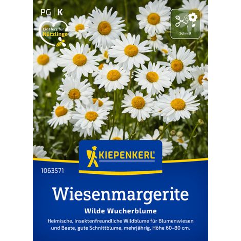 Kiepenkerl Blumensamen Wiesenmargeriten Wilde Wucherblume für ca. 300 Pflanzen