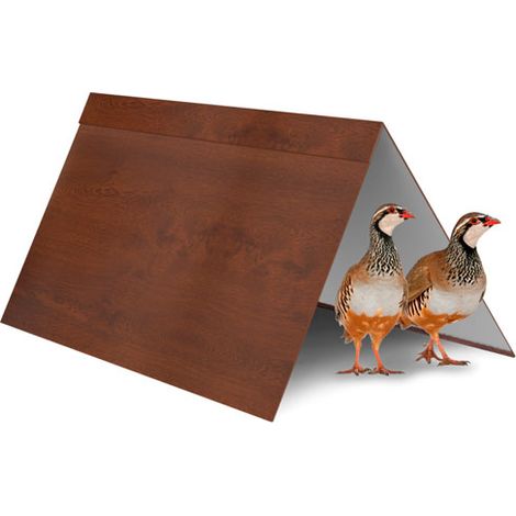 Refugio para Gallinas y Otras Aves de Corral – Chapa Color Madera - Cortavientos, Sombra, Antiestrés – Bienestar en tu Gallinero - Dos Tamaños – El Grande Incluye Perchas (35x40x80 cm)
