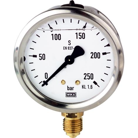 Riegler Glyzerinmanometer, CrNi-Stahl, G 1/4 unten, 0 - 250,0 bar, Ø 63 (1/4)