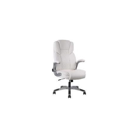 Chaise de bureau ergonomique, dossier et accoudoirs réglables, capacité 180 kg, gris (1/5)