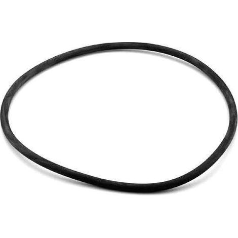 Junta tórica tapa filtro Astralpool Cantabric. (1/3)