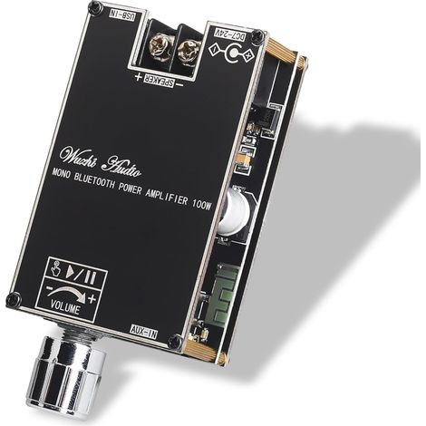Amplificateur Mono - 100 W - Entrée Large Tension 9-24 V - Bluetooth USB AUX - Fonction TWS - Pour Projets Audio DIY (1/5)