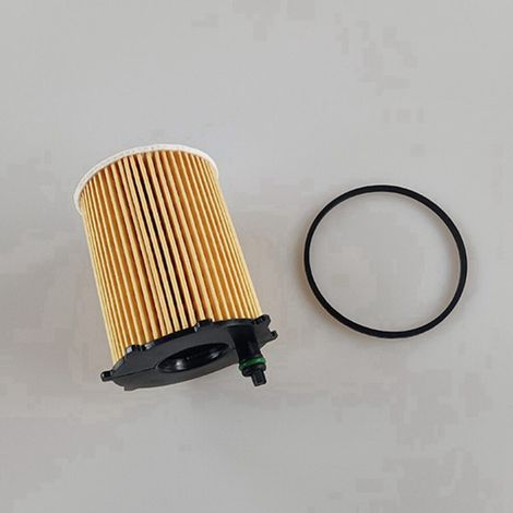 Juego de 20 filtros de aceite para Citroën DS3 DS4 Xsara Ecosport 5 407508 5008 Ranch (1/2)