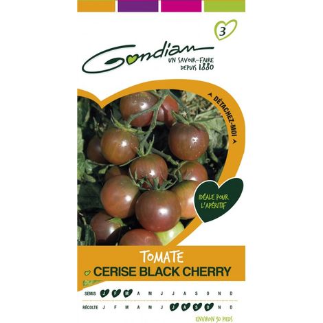 Gondian - Tomate Cerise black cherry (1/4)
