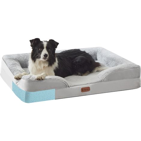 Lit Orthopédique Chien Chat S 50x40x12 cm – Canapé Mémoire de Forme Déhoussable, Panier 4 Saisons Imperméable Respirant Chaud, Bords Surélevés pour Scottish Fold, British Shorthair, Ragdoll et Sacré d (1/5)