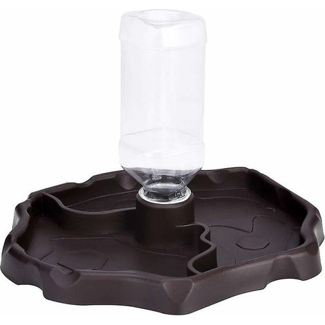 (brun Fonc) Reptile Drinker, 2 En 1 Food Feeder Spill Bowl, Turtle Gecko Plastic Bowl (1/5)