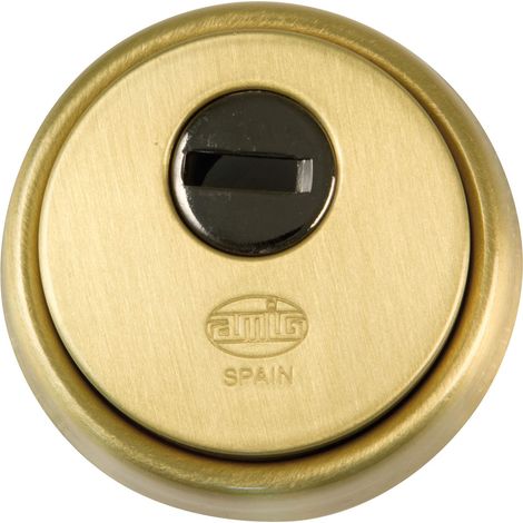 Scudo cavo in ottone opaco 65mm mod. 31 6360 amici (1/4)