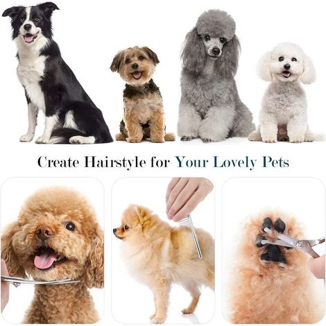 Ciseaux de Toilettage pour Chien,Ensemble de 5 Outils de Toilettage en Acier Inoxydable Enduit de Titane pour Animaux de Compagnie,Cisaille à Effiler/Droite/Incurvé et Peigne,Bleu GROOFOO (1/4)
