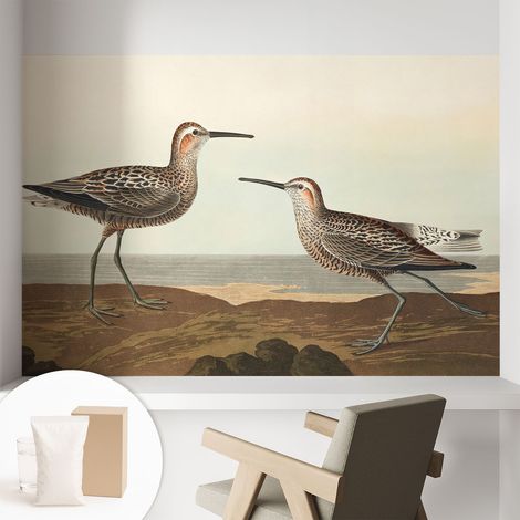 Carta Da Parati - Mural - Con Sala Da Pranzo - Camera Da Letto - Cameretta - Con Colla Gratuita Sagome di uccelli 104x70 cm (1/5)