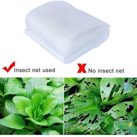 Filet Anti-Insectes - Polyéthylène Haute Densité - Pour Jardin Potager et Fruits - 3 m x 10 m (1/4)