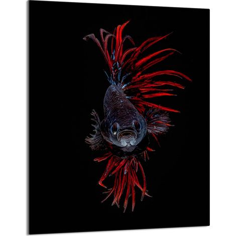 Planche à découper en verre 40x52 Poisson (1/5)