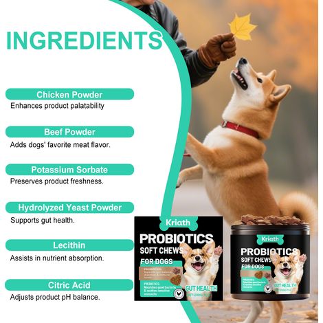 Granulés probiotiques intestinaux pour chiens - Protègent l'équilibre de l'organisme et favorisent une bonne santé intestinale - 200 g (1/5)