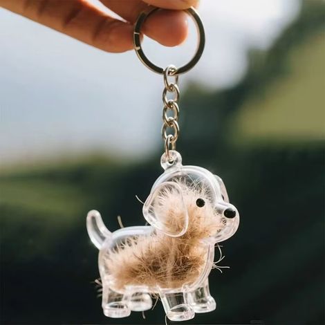 Boîte de rangement transparente pour chiots, boîte anti-poussière décorative avec animal en peluche suspendu, cadeau commémoratif (1/4)
