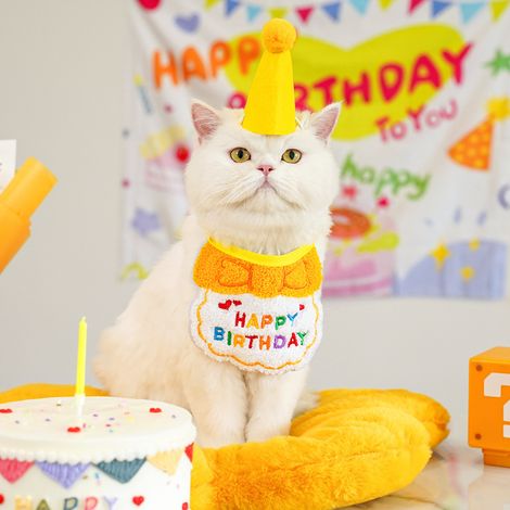 1 bavoir déguisement d'anniversaire pour chien ou chat - Bavoirs assortis mignons pour tous les jours - Chapeau en feutrine (1/4)