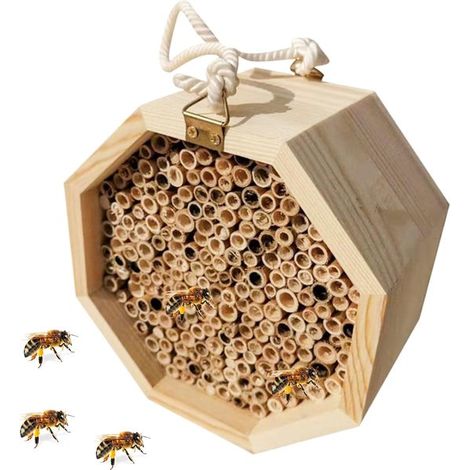 Les ruches en bois - servent de sites de pollinisation pour améliorer la productivité du jardin - qui offrent un habitat aux abeilles sauvages (1/5)