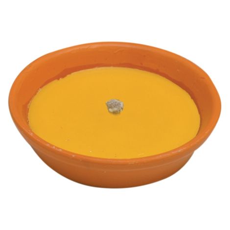 CITRONELLA IN COCCIO ANTIVENTO D 11 CM Q.TA 53