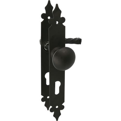 Ensemble Poignée et Pommeau  Plaque Lisse 270 x 36 mm  Anti-Corrosion en Acier et Zamak  Idéal pour Maison (1/4)