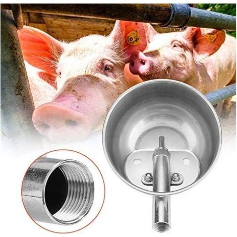 Abreuvoir automatique en acier inoxydable pour mouton et chien pour alimentation en eau et liquide (1/5)