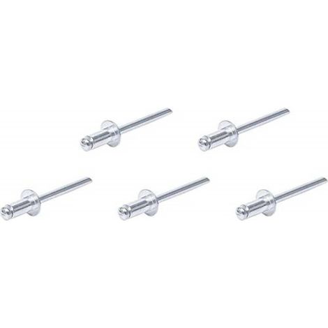 Assortiment de Rivets Pop D.4,8 mm - 50 pcs - Acier, Résistants et Pratiques,  - D-Work
