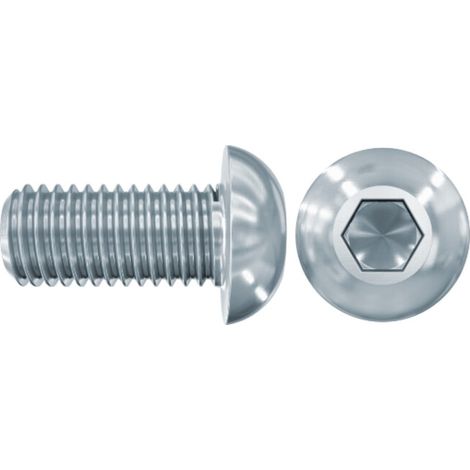 fischer Linsenkopfschraube LKS M12x25 A2 50 Stk (1/5)