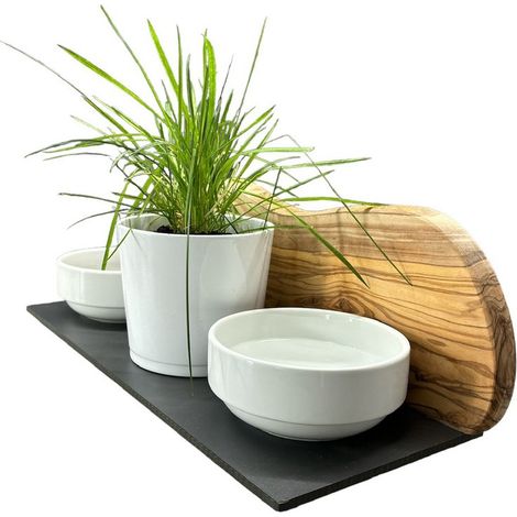 Station d'alimentation chat 2 gamelles porcelaine 0,4 L et pot herbe, bois d'olivier 40x20 cm - PANGIVO (1/4)