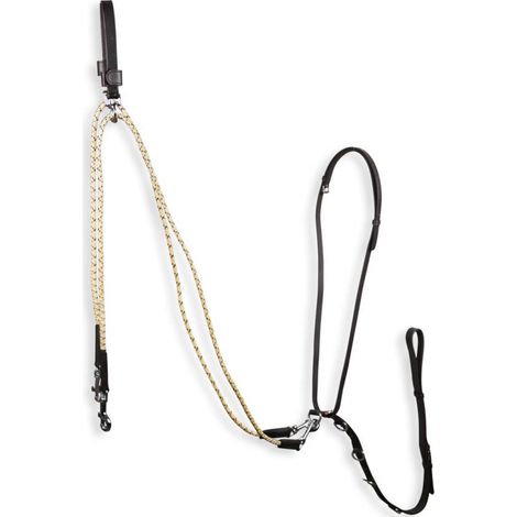 Full, Nero: Gogue Addestramento Horses Training