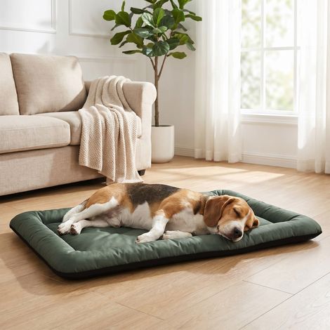 Panier imperméable pour chien avec fond antidérapant, pliable et lavable, pour chiens et chats de taille moyenne et grande. (1/5)