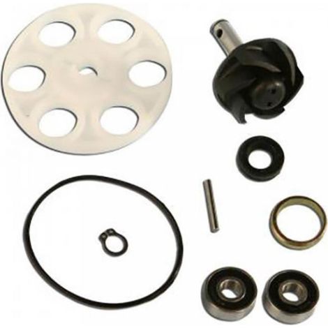Wasserpumpe Top Performance für Roller Malaguti 50 f12 vor 2020