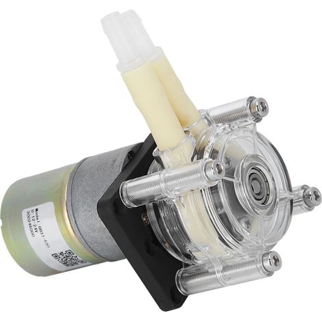 Pompe péristaltique auto-amorçante, châssis en acier inoxydable, tête transparente en PC, moteur CC 24V (1/5)